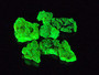 7 Piece Autunite Lot displayed on watch glass 365nm UV light