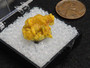 2.1 Gram autunite crystal formation under indoor light size comparison to copper penny top view