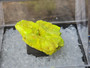 Autunite Crystal Formation in perky box under outdoor light