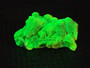 3.7 Gram Lamellar Autunite Crystal formation under 365nm UV light