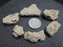 Trinitite lot 17 Grams, 6 Pieces size comparison to steel penny bottom