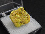 3.5 Gram Autunite Crystal in Perky Box on display under indoor light