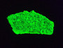 8.7 Gram Autunite Crystal Formation under 365nm UV light