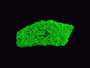 8.7 Gram Autunite Crystal Formation under 365nm UV light