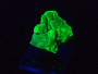Lamellar Autunite Crystal – Fluorescent Uranium Ore, 10 Grams