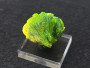 Lamellar Autunite Crystal – Fluorescent Uranium Ore, 10 Grams