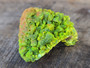 39 Gram Lamellar Autunite Crystal Formation under outdoor light