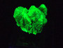 4.6 Autunite Crystal on display under 365nm UV light