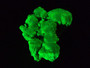 Lamellar Autunite Crystal  - Fluorescent Uranium Ore,  11 Grams