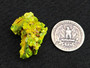 11 Gram Lamellar Autunite Crystal formation under outdoor light  size comparison to silver quarter bottom view