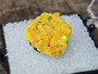 1.8 gram Autunite Crystal Formation displayed in perky box under outdoor light