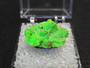 3.6 Gram Autunite Crystal in Perky Box  under indoor light and 365nm UV light