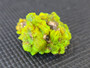 7 Gram Autunite Crystal Formation on Matrix displayed under outdoor light