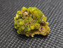 7 Gram Autunite Crystal Formation on Matrix  displayed under indoor light