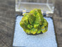 Autunite Crystal in Perky Box, 7 Grams – Fluorescent Uranium Ore
