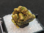 Autunite Crystal in Perky Box, 7 Grams – Fluorescent Uranium Ore