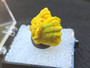 Autunite Crystal in Perky Box, 6 Grams – Fluorescent Uranium Ore outdoors