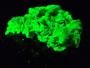 21 Gram Autunite on Quartz under 365nm UV light
