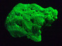 30 gram Lamellar Autunite Crystal Formation under UV light