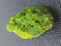 30 gram Lamellar Autunite Crystal Formation under outdoor light