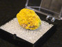 Autunite Crystal Formation in Perky Box, 3 Grams indoor ligh