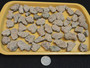 Trinitite Lot 1/4 lb 54 pieces, each smaller than 4 grams. on a yellow tray