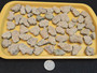 Trinitite Lot 1/4 lb 54 pieces, each smaller than 4 grams. on a yellow tray