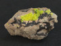 Autunite on Matrix Cabinet Specimen ~ Fluorescent Uranium Ore under indoor light
