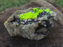 Autunite on Matrix Cabinet Specimen ~ Fluorescent Uranium Ore under outdoor light showing brilliant daytime fluorescence