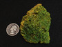 40-gram lamellar autunite crystal-under indoor light size comparison to silver quarter top view