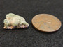 Trinitite (Atomic Bomb Glass), 790 Milligrams under indoor light size comparison to penny top view