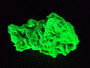 15 Gram Autunite Crystal Formation under 365nm UV light