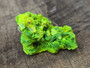 15 Gram Autunite Crystal Formation under outdoor light