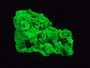 15 Gram Autunite Crystal Formation under 365nm UV light
