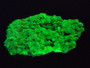 Lamellar Autunite Crystal - Fluorescent Uranium Ore, 25 Grams under 365nm light
