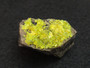 Autunite on Matrix Mini-Cabinet Specimen ~ Fluorescent Uranium Ore under indoor light