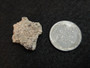 Trinitite (Atomic Bomb Glass), Trinity Site, New Mexico, July 16, 1945 - 1.6 Grams size comparison to steel penny - back