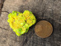Autunite Crystal Formation , 11 Grams – Fluorescent Uranium Ore under outdoor light size comparison to coper penny