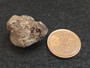 Euxenite-(y) Petaca Mining District, New Mexico, USA
 size comparison to penny - front