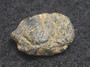 Uraninite - Deer Park Mine, North Carolina, USA - 2.1 Grams under indoor light