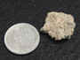1.5 Gram Trinitite sample displayed under indoor light size comparison to copper penny bottom view
