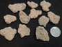 Trinitite lot 30 Grams, 11 Pieces -(Atomic Bomb Glass),  Trinity Site, New Mexico, July 16, 1945