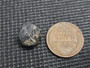 Uraninite  under indoor light size comparison to copper penny bottom view