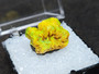 2.7 Gram Autunite Crystal Formation in Perky Box under outdoor light