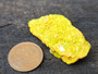 11 Gram Meta-Autunite Crystal Formation under outdoor light size comparison to copper penny bottom view