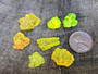 7 Piece Autunite Lot  ~ Fluorescent Uranium Ore