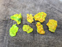 7 Piece Autunite Lot under outdoor light demonstrating daytime fluorescence