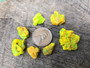 7 Piece Autunite Lot under outdoor light demonstrating daytime fluorescence size comparison to copper penny