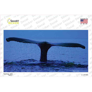 Whale Tail Wholesale Novelty Sticker Decal