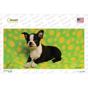 Boston Terrier Dog Wholesale Novelty Sticker Decal